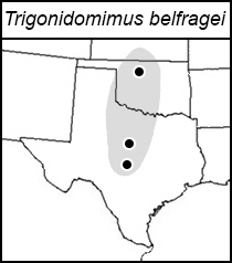 distribution map for Trigonidomimus belfragei