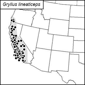 distribution map for Gryllus lineaticeps