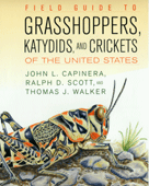 cover to field guide to grasshoppers, katydids, and crickets