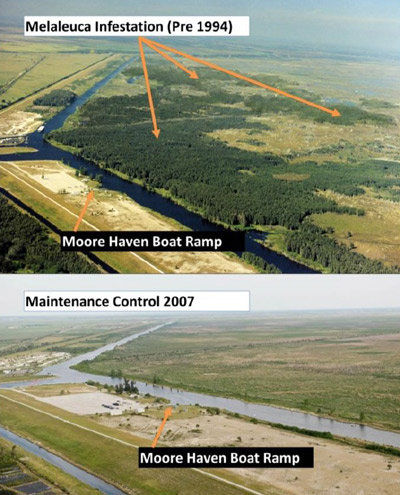 Aerial images of Moore Haven boat ramp at Lake Okeechobee, FL demonstrating the effectiveness of melaleuca management in the area.