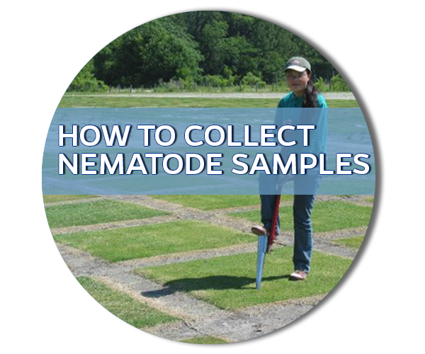button link to collecting samples  page, photo of person taking sample with shovel