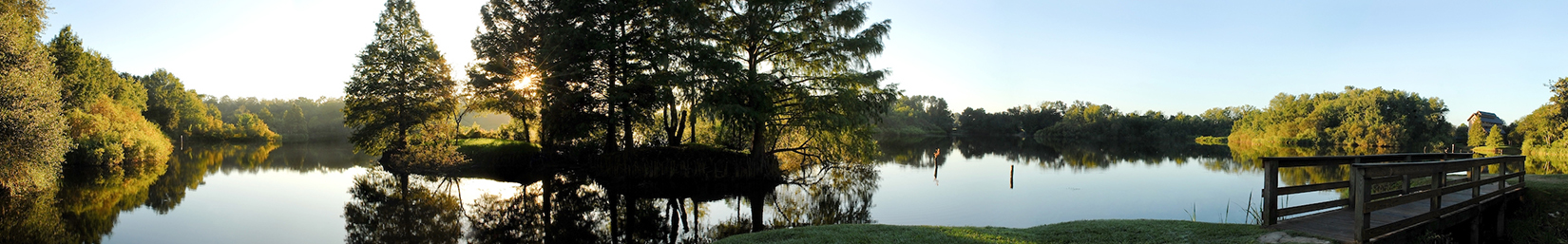 Lake Alice on the UF campus, Gainesville, Florida