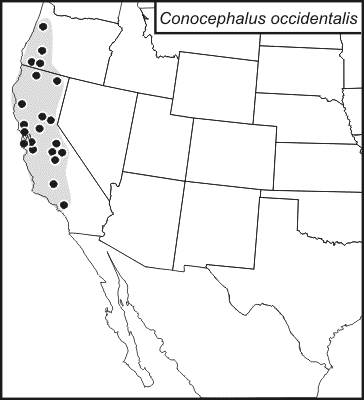 distribution map for Conocephalus occidentalis