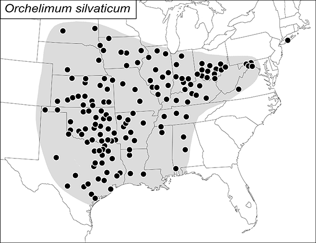 distribution map for Orchelimum silvaticum