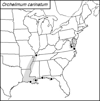 distribution map for Orchelimum carinatum