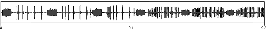 image of expanded waveform for Sphagniana sphagnorum