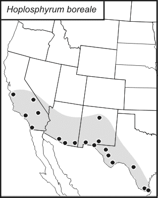 distribution map for Hoplosphyrum boreale