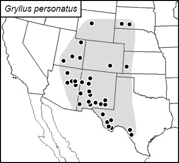 distribution map for Gryllus personatus