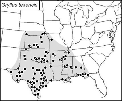 distribution map for Gryllus texensis
