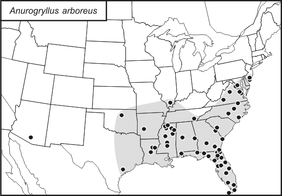 distribution map for Anurogryllus arboreus