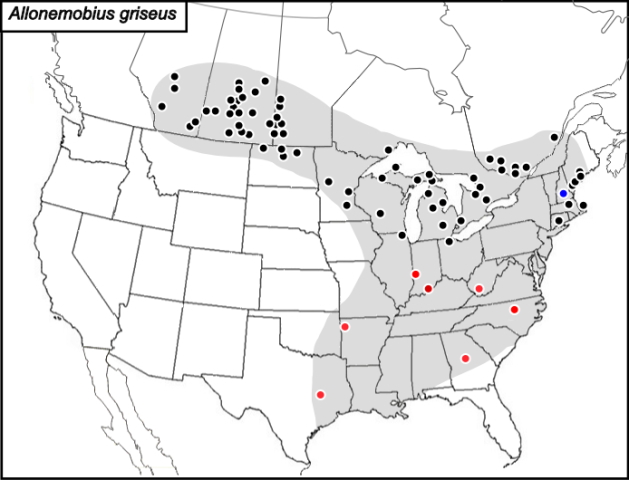 distribution map for Allonemobius griseus