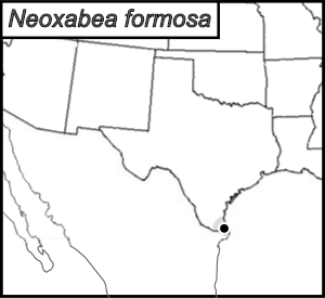 distribution map for Neoxabea formosa