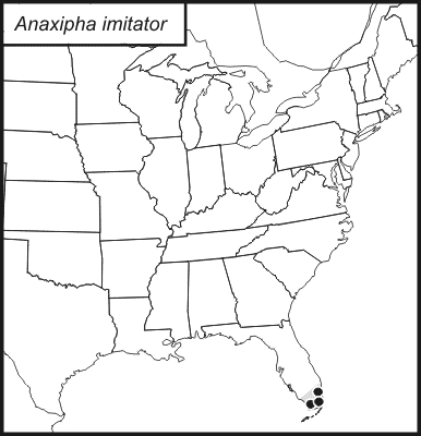 distribution map for Anaxipha imitator
