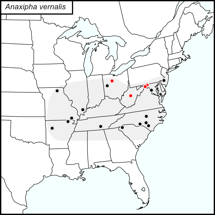 distribution map for Anaxipha vernalis