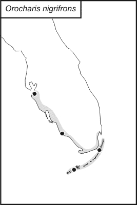 distribution map for Orocharis nigrifrons