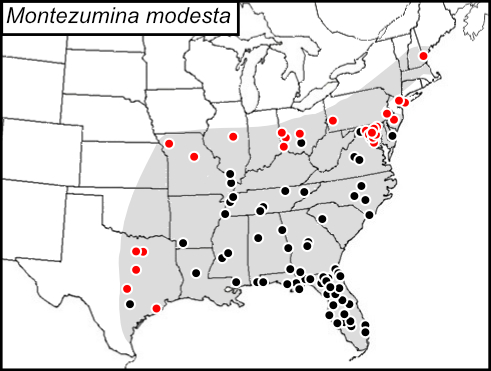distribution map for Montezumina modesta