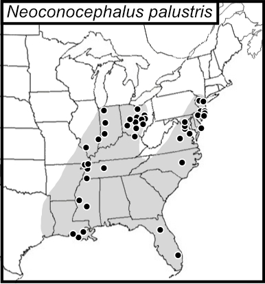 distribution map for Neoconocephalus palustris