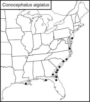 distribution map for Conocephalus aigialus