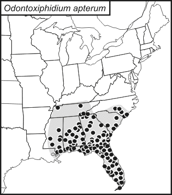 distribution map for Odontoxiphidium apterum