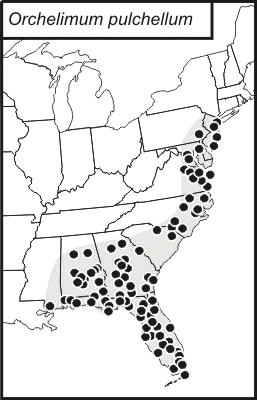 distribution map for Orchelimum pulchellum