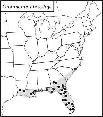 distribution map for Orchelimum bradleyi