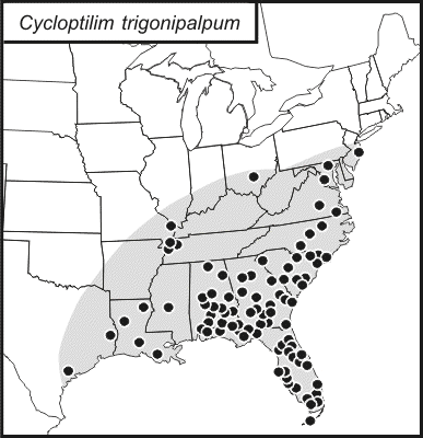 distribution map for Cycloptilum trigonipalpum