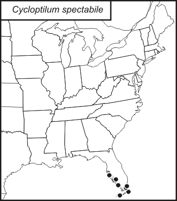 distribution map for Cycloptilum spectabile