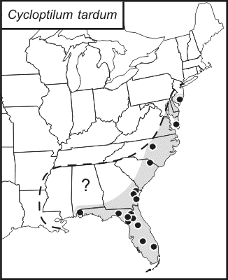 distribution map for Cycloptilum tardum