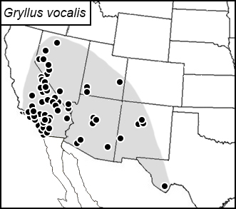 distribution map for Gryllus vocalis