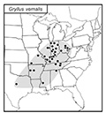 SINA map for Gryllus vernalis