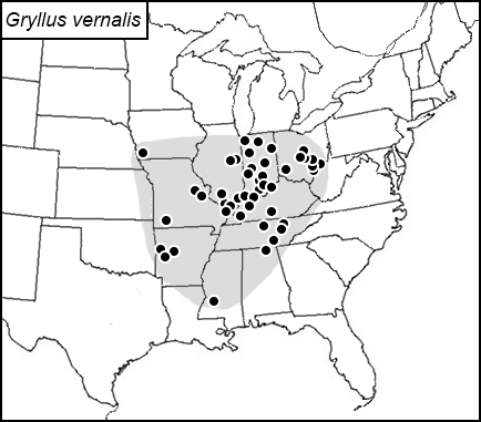 distribution map for Gryllus vernalis