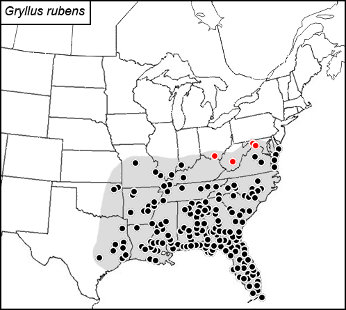 distribution map for Gryllus rubens