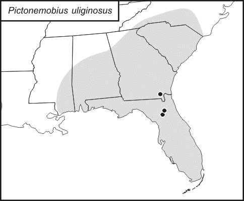 distribution map for Pictonemobius uliginosus