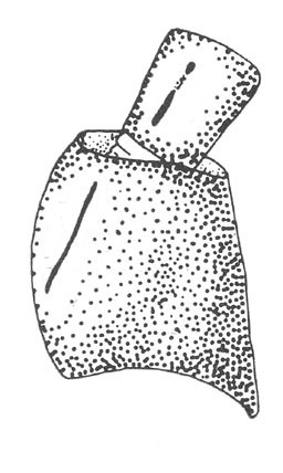 image of Oecanthus leptogrammus