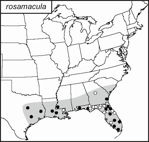 distribution map for Anaxipha rosamacula