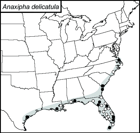 distribution map for Anaxipha delicatula