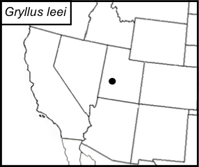 distribution map for Gryllus leei