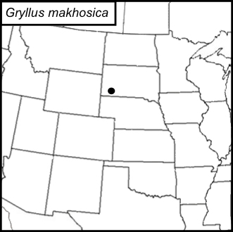 distribution map for Gryllus makhosica