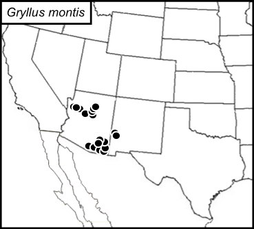 distribution map for Gryllus montis