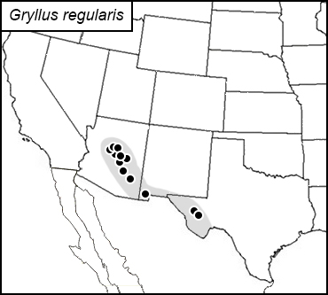 distribution map for Gryllus regularis
