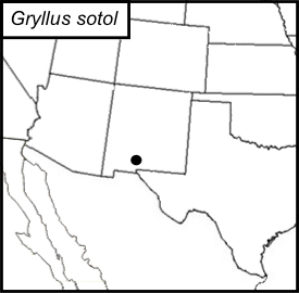 distribution map for Gryllus sotol