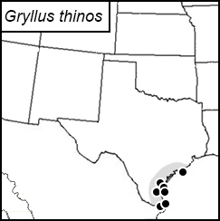 distribution map for Gryllus thinos