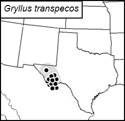 distribution map for Gryllus transpecos
